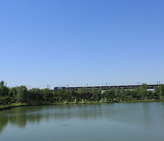 北京都润生态环境工程有限公司-沿河风光带-湖南道水河沿河风光带