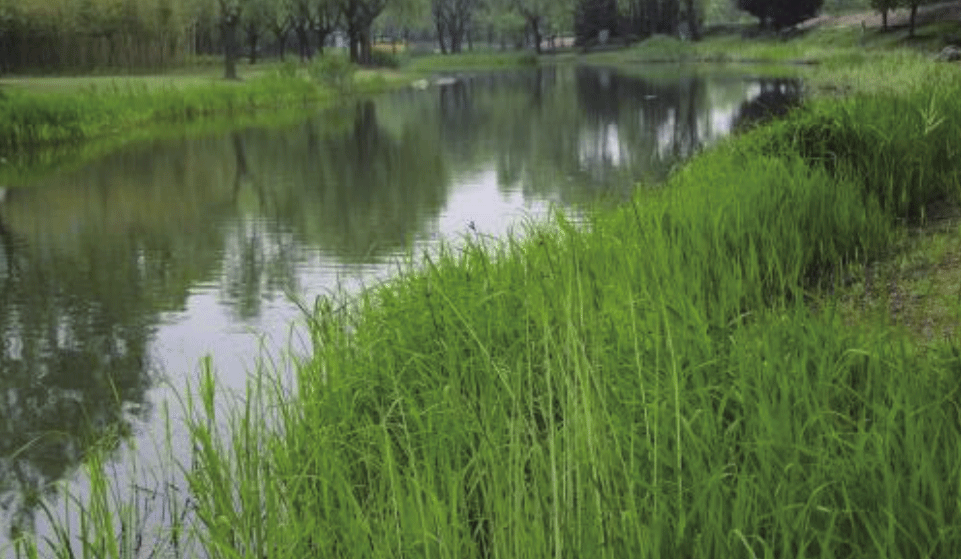 北京都润生态环境工程有限公司-小流域治理-永定河灌渠治理工程
